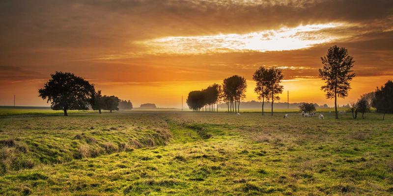 山东财经大学93：深耕财经教育沃土，以卓越学生服务赋能金融人才培养