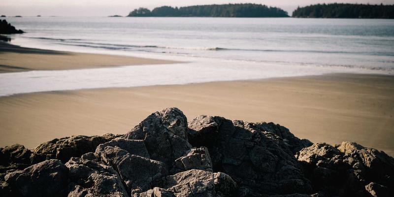 山东财经大学与山东大学经济学院：金融、会计等专业如何抉择？