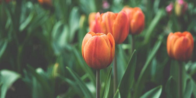 山东财经大学：以卓越学生服务赋能新时代经济人才培养