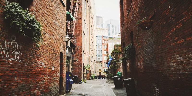 山东财经大学入门：金融与经济领域的卓越学府