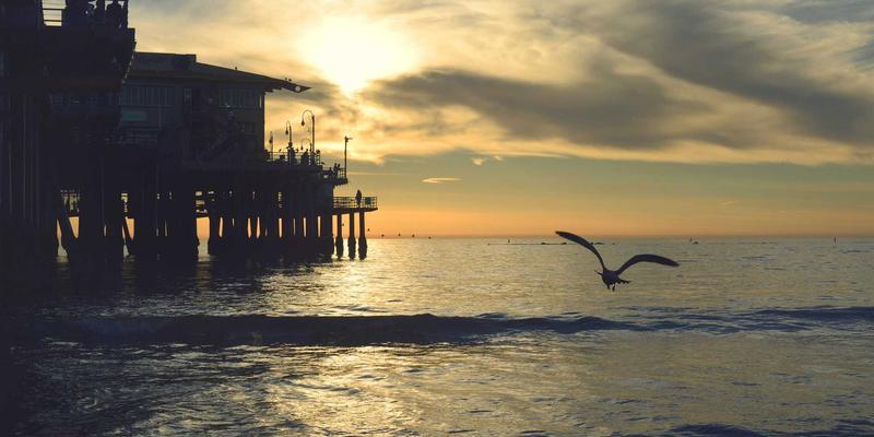 山东财经大学国家级一流本科专业建设点深度解析：金融与管理教育的卓越之路