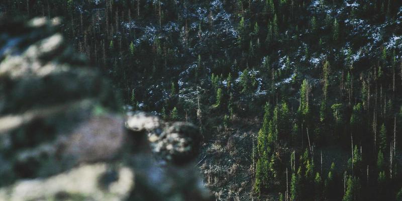 山东财经大学：培养经济、金融、会计精英的摇篮