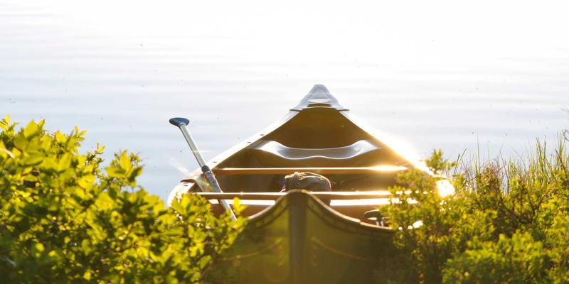 山东财经大学推免研究生（保研）政策全解析与申请攻略