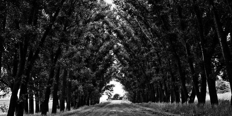 山东财经大学本科生导师制：如何通过个性化培养方案塑造卓越经济金融人才