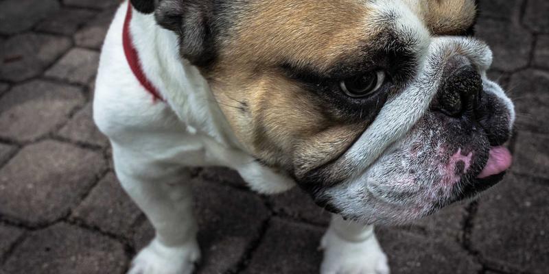 山东财经大学：植根齐鲁大地的财经教育高地，服务国家经济发展的卓越引擎