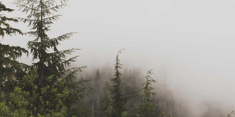 山东财经大学毕业生主要去向解析：深耕财经教育，成就国企、银行与公务员之路