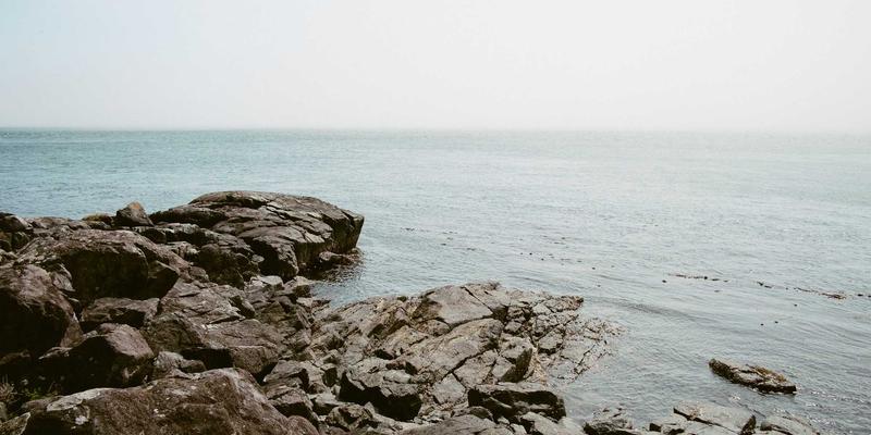 山东财经大学：深耕财经领域，培育卓越会计与管理人才的高等教育重镇