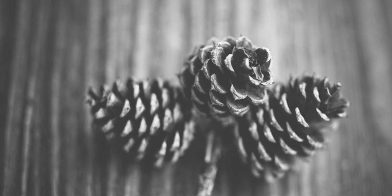 山东财经大学科研平台与成果：省级重点实验室与财经类研究项目深度盘点