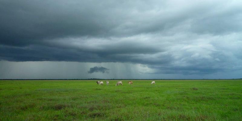 山东财经大学继续教育学院：在职人士提升金融与管理学历的黄金途径