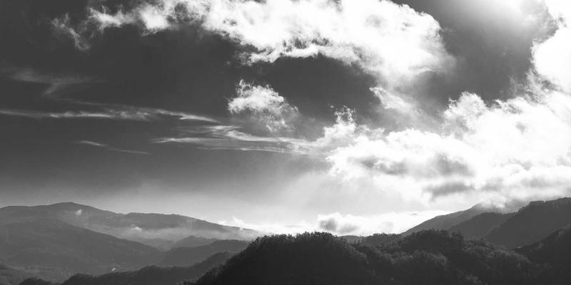 山东财经大学：财经教育的卓越殿堂，培养金融与管理精英的摇篮