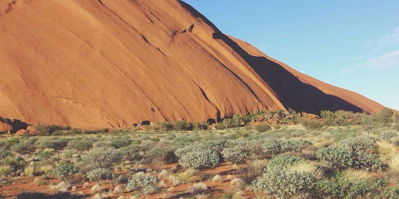 山东财经大学进阶指南：深耕经济、金融、会计领域的核心竞争力