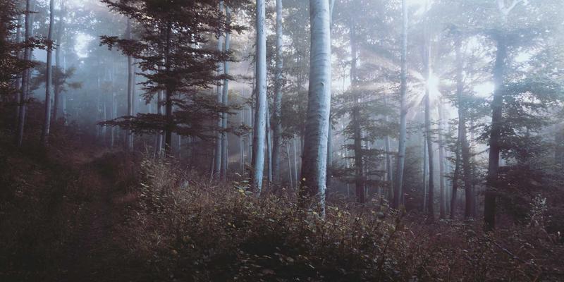 管理视角下的山东财经大学：校园文化与特色社团活动深度解析